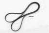 ASHIKA 112-5PK1550 V-Ribbed Belts